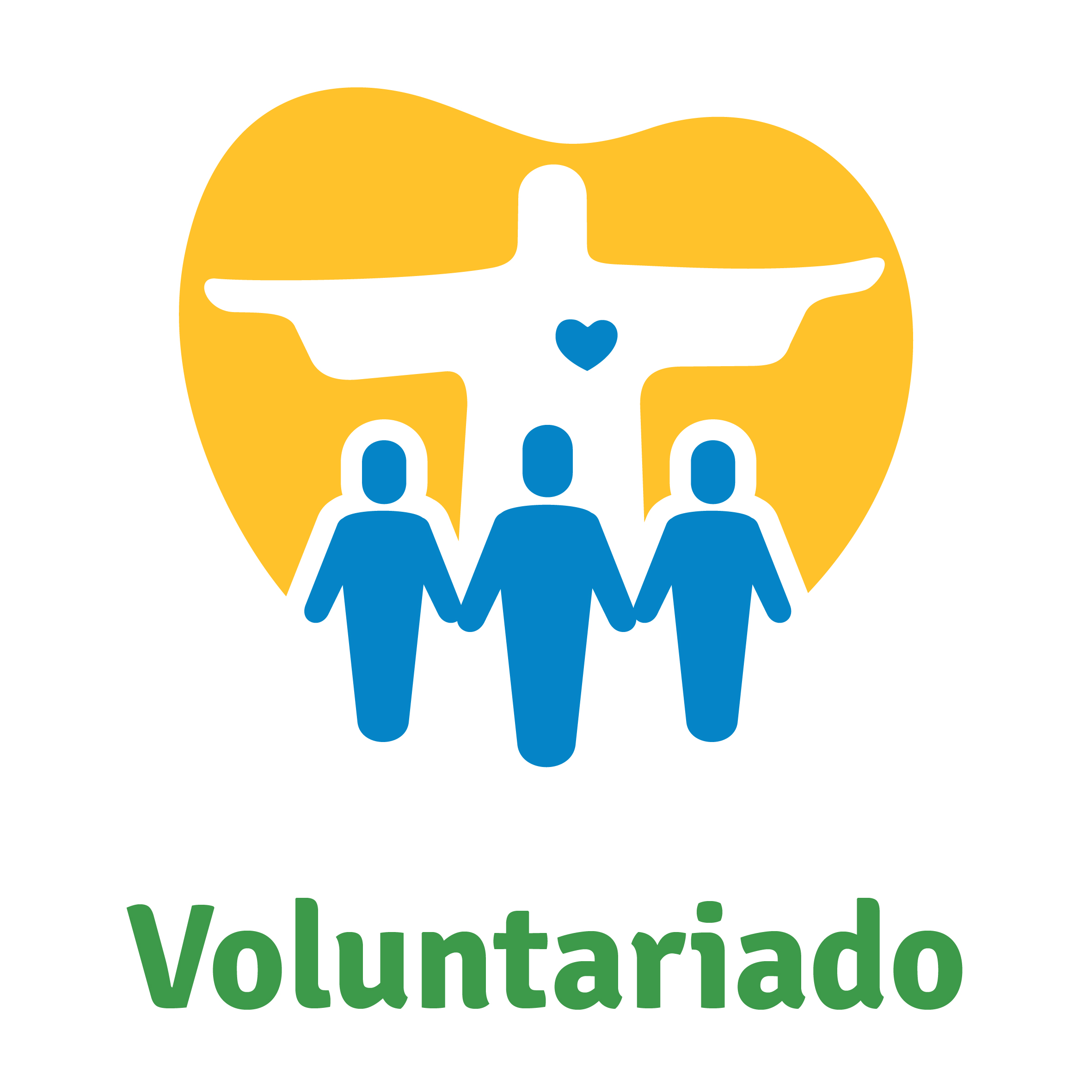 Voluntariado -  JMJ Rio2013